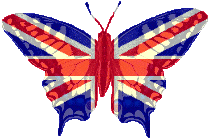 Go to the English Version